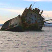Директор Азовского моря Директор Азовского моря