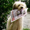 Донецкий губернатор не знает, как расходуется бюджет области Донецкий губернатор не знает, как расходуется бюджет области