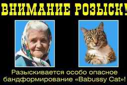 Автор скандального билборда "бабушка с котом" - в розыске, владелец рекламного агентства - в больнице Автор скандального билборда "бабушка с котом" - в розыске, владелец рекламного агентства - в больнице