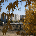 Спецпроект «ОстроВ»: «Луганск – 2010: местные выборы и городская громада» (Ст.3) Спецпроект «ОстроВ»: «Луганск – 2010: местные выборы и городская громада» (Ст.3)