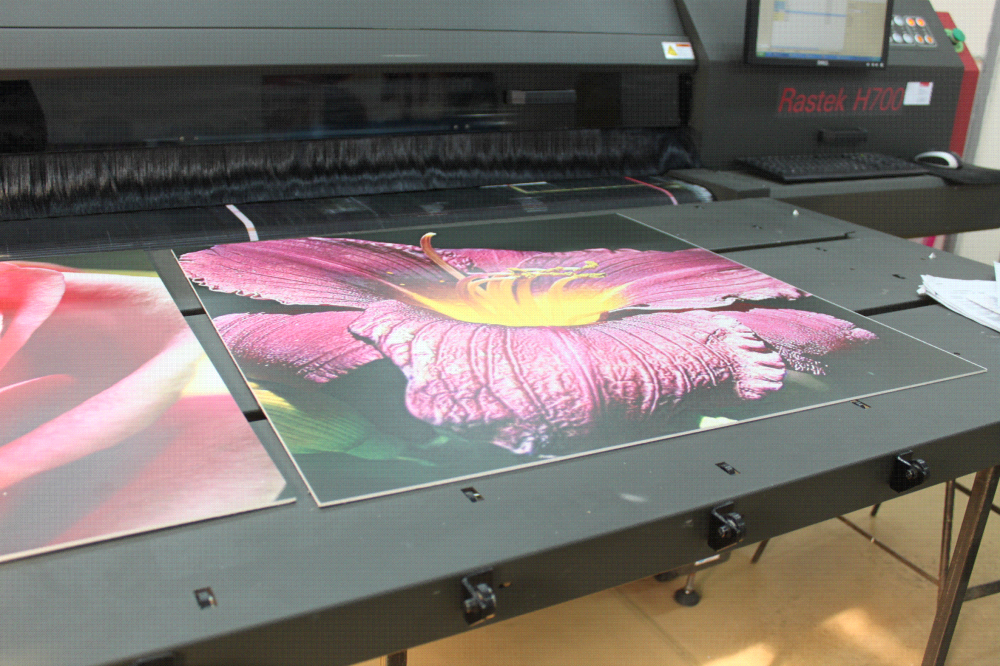 Печать на пластике в Pronto Print в Киеве