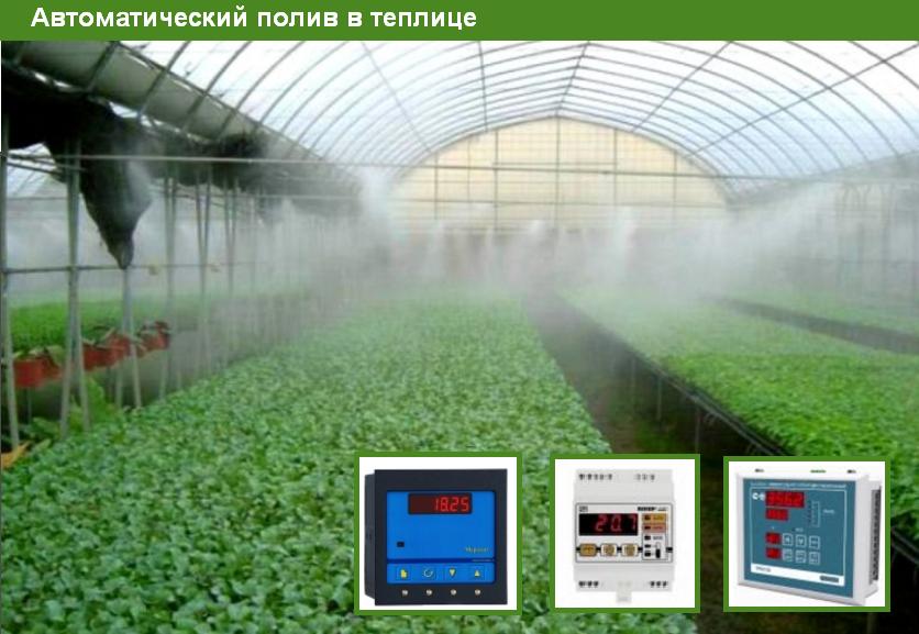 Газовые Котлы Для Теплицы Купить