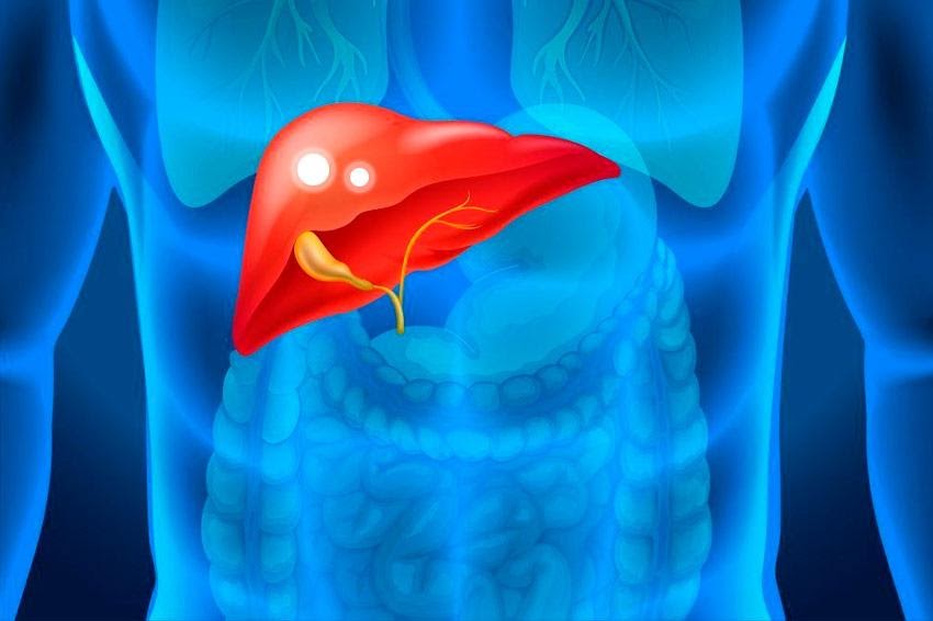 https://hirurgia.kiev.ua/images/articles/laparoscopy/liver-cystss.jpg