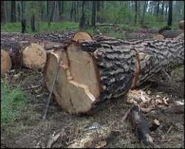 «Украина для людей»: в Харькове расправляются с участниками мирной акции протеста «Украина для людей»: в Харькове расправляются с участниками мирной акции протеста
