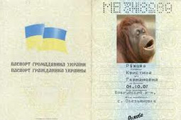 «Без правильного документа ты ничтожество». Иностранные СМИ об Украине «Без правильного документа ты ничтожество». Иностранные СМИ об Украине