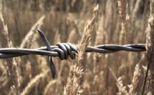 Новый рассадник коррупции или спасение для луганских аграриев? Эксперты о логистических центрах, невыездных детях и уборочной кампании Новый рассадник коррупции или спасение для луганских аграриев? Эксперты о логистических центрах, невыездных детях и уборочной кампании