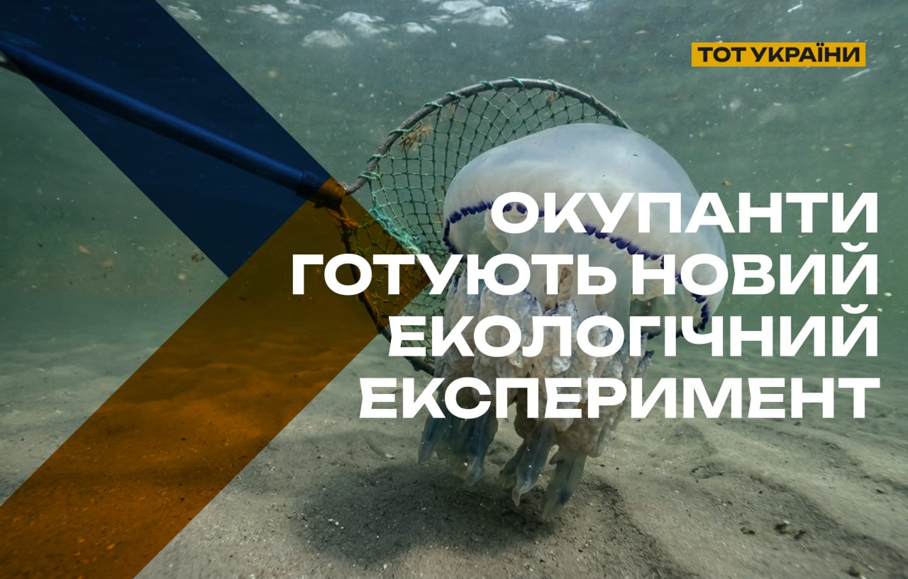 «Окупанти готують екологічну катастрофу»: у ЦНС спрогнозували наслідки  масового вилову росіянами медуз в Азовському морі