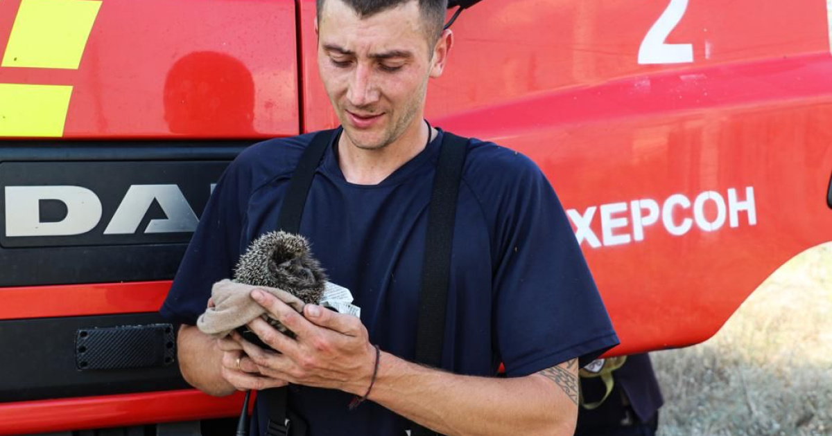 Рятівники у Херсоні врятували з пожежі вцілілого їжака