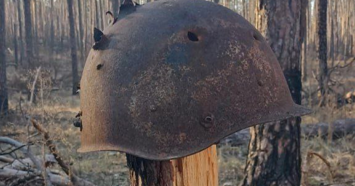 Реалии Кременского леса в Луганской области