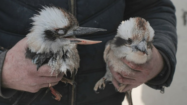 Фото: Суспільне Харків