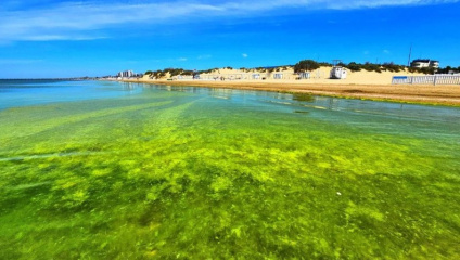 ФОТО ИЛЛЮСТРАТИВНОЕ 