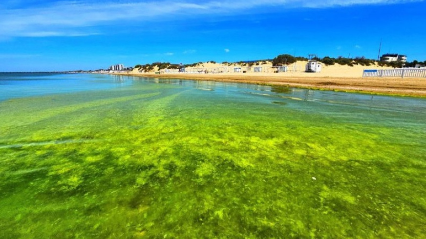 ФОТО ІЛЮСТРАТИВНЕ 