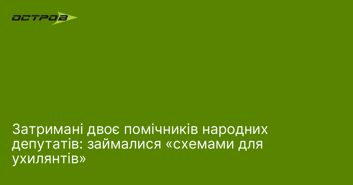 Затримані двоє помічників народних депутатів: займалися «схемами для ухилянтів»