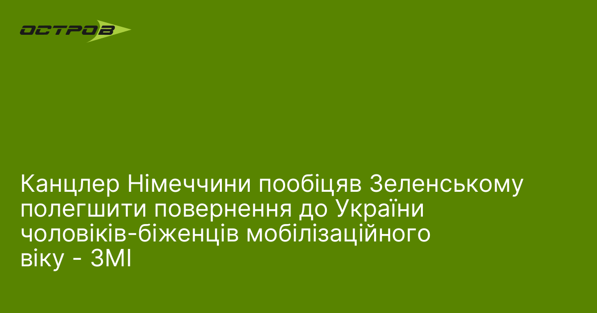 Канцлер Німеччини пообіцяв Зеленському полегшити повернення до України чоловіків-біженців мобілізаційного віку - ЗМІ