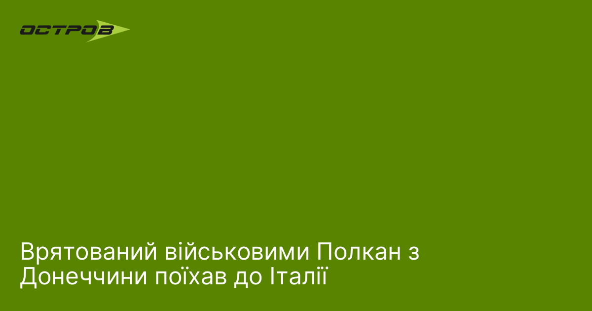 Врятований військовими Полкан з Донеччини поїхав до Італії