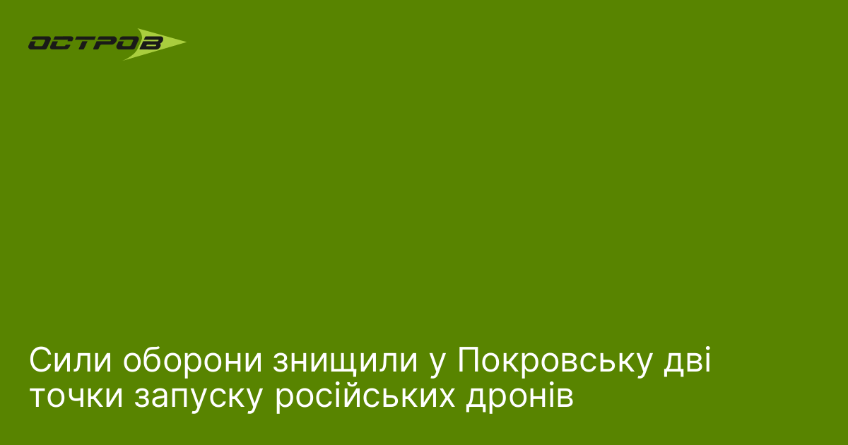 Сили оборони знищили у Покровську дві точки запуску російських дронів