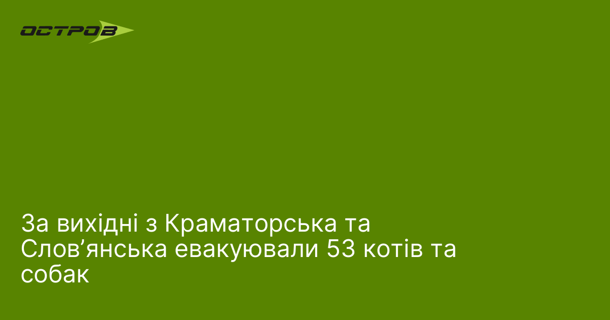 За вихідні з Краматорська та Словʼянська евакуювали 53 котів